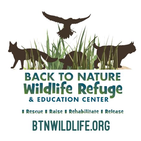 Back To Nature Wildlife Refuge Youtube