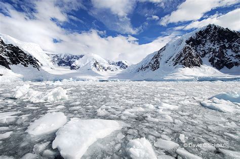 Antarctica Photo Gallery
