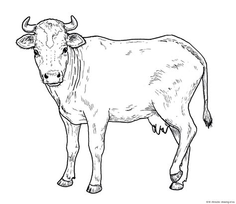 Kids easy drawing has many wild and farm animals. Drawings of animals - Page 3 - drawing-of.eu