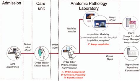 The 4 Main Steps Of The Anatomic Pathology Workflow A Order