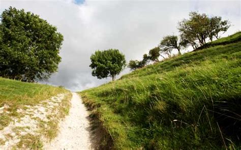 South Cambridgeshire 'best place to live in countryside' - Telegraph