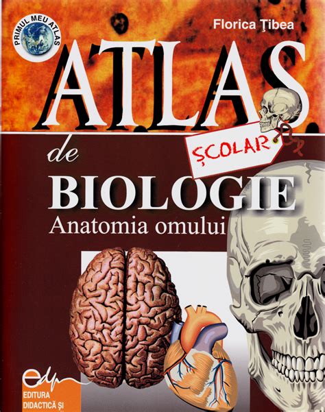 Atlas De Biologie Scolar Anatomia Omului Florica Tibea 9733028499