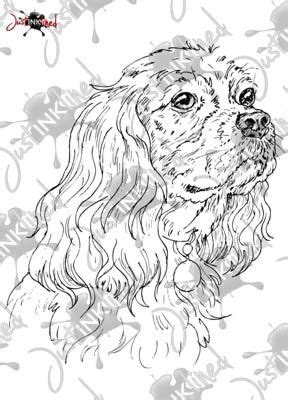 November 2011 | Cavalier king charles spaniel, King charles spaniel, King charles