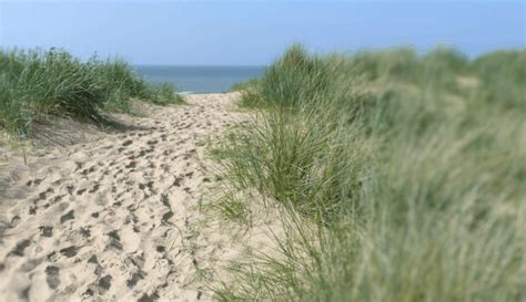 Liebe gäste, liebe partner und liebe freunde des hotels, wir freuen uns sehr auf sie! Das sind die schönsten Strände in Belgien | Tipps vom Experten
