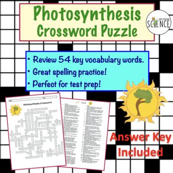 Digestive system crossword puzzle instructions guide, service manual guide and. Photosynthesis Crossword Puzzle by Amy Brown Science | TpT