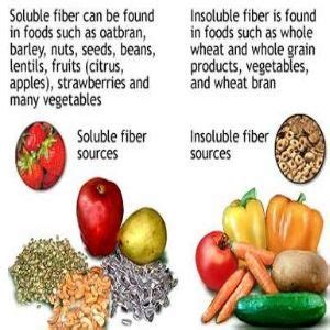 There are many plant based high fiber foods available in india including vegetables, fruits, seeds, legumes and cereals. Pin on Diet & Fitness