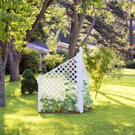 Make A Cucumber Tent Trellis Trellis Plants Garden Arch