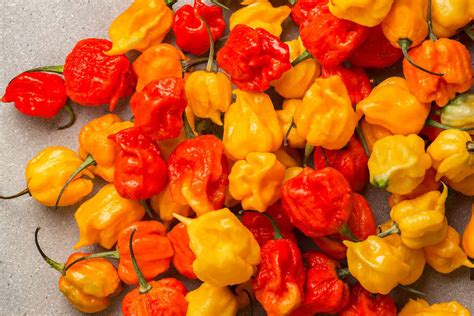 pepper x is the new hottest pepper in the world