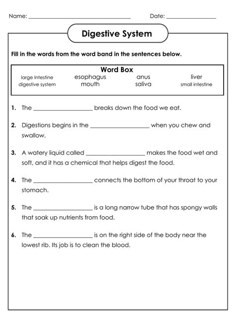 Grade 4 Worksheets Printable Worksheet