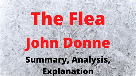 The Flea By John Donne Summary Analysis Explanation Youtube