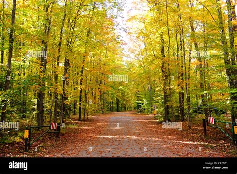 Hiawatha National Forest In Michigan Upper Peninsula During Autumn Fall