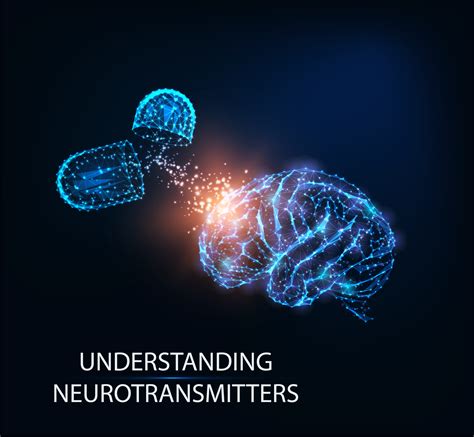 Neurotransmitters are released from synaptic vesicles in synapses into the synaptic cleft, where they are received by neurotra. Understanding Neurotransmitters