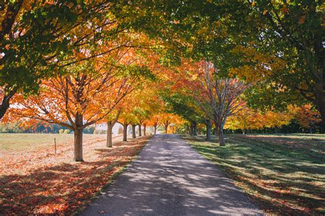 Fall Colors In Vermont - Gal Meets Glam