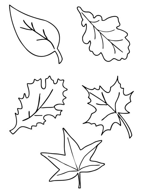Free Printable Autumn Leaf Templates

