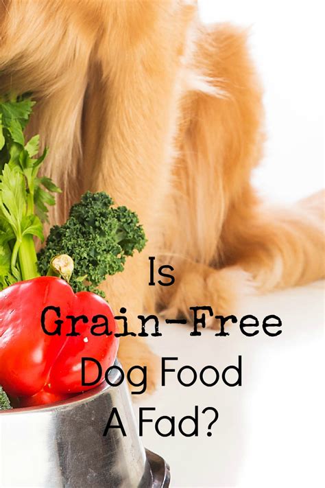 My vet's office posted an article that grain free dog food is now possibly connected with heart disease in dogs. Is Grain-free Dog Food A Fad? - DogVills