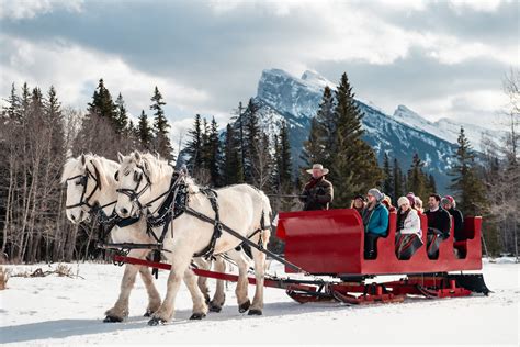 Horse Drawn Sleigh Ride In Banff