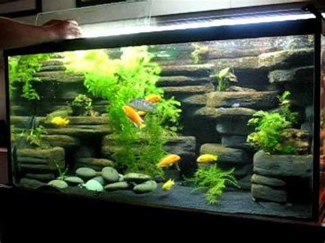 Usually, you'll find that people will use more decorations in freshwater or saltwater tanks that are fo (fish only). DIY aquarium background - 90 gallon made from styrofoam ...