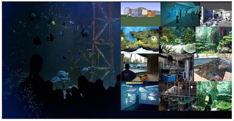 Servicing The Underworld Commercial Aquarium Services Aquarium