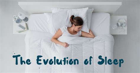 The Evolution Of Sleep Sound Sleep Medical