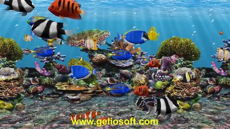 3d Fish School Screensaver Tropical Fish Swimming Free On Desktop