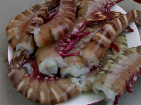 Black Tiger Shrimps Block Bangladesh Price Supplier 21food