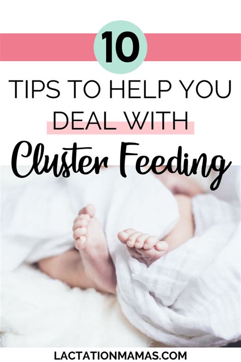 Want To Know What Is Cluster Feeding And How To Deal With It Being On A Cluster Feeding