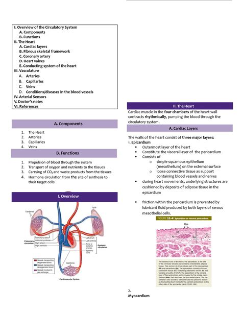 Histology Circulatory System StuDocu