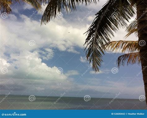 Tropical Bliss Stock Photo Image Of Caribbean Beach 53600442