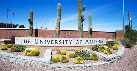 Writing Placement University Of Arizona
