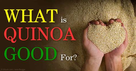 Quinoa Nutrition Are You Curious About Quinoa