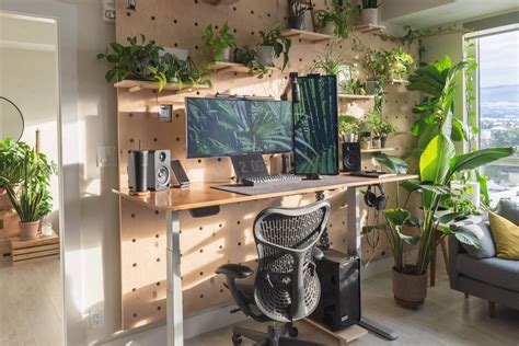 Urban Jungle Setup Tours From Nature Lovers Who Work From Home