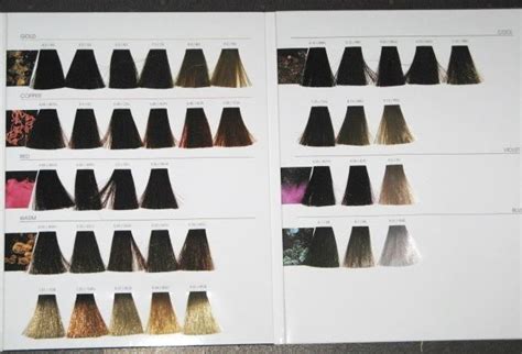 Inoa Hair Colour Chart Haarfarben Charts Haarfarben Haarfarben Palette