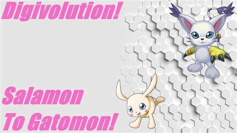 Digivolution Salamon Plotmon Digivolve To Gatomon Tailmon Youtube