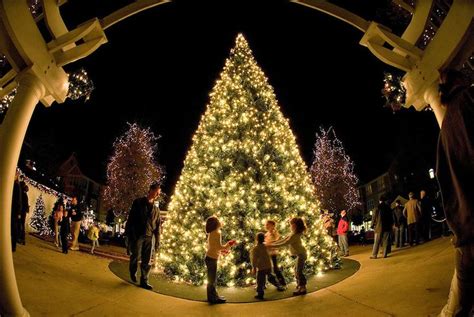 Annual Tree Lighting Event Calendar Festival Holiday