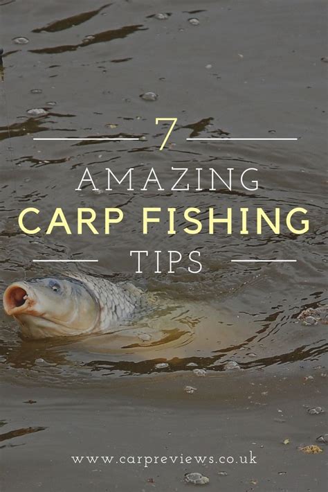 7 Amazing Carp Fishing Tips Carp Fishing Tips Carp Fishing Fishing Tips