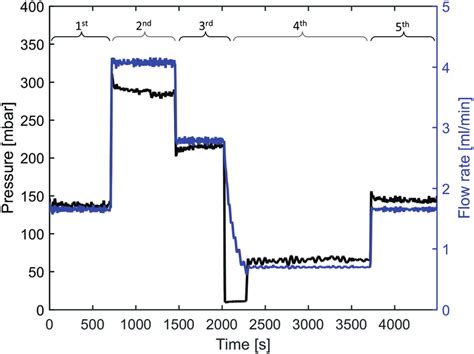 Measured Pressure And Flow Rate During The Experiment At 250 °c For