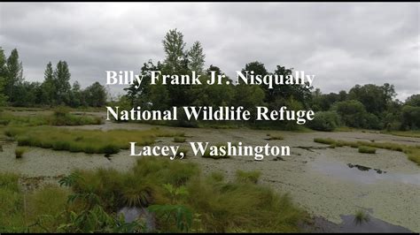 Nisqually National Wildlife Refuge Youtube