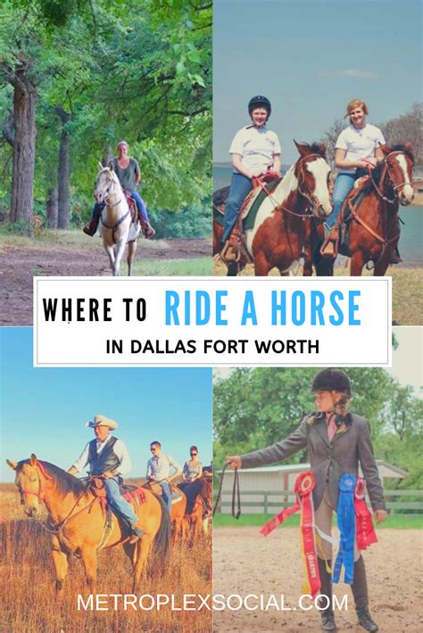 These Are The Places To Ride A Horse In Dallas Fort Worth Horse