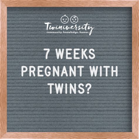 Twin Pregnancy Week By Week Timeline Twiniversity