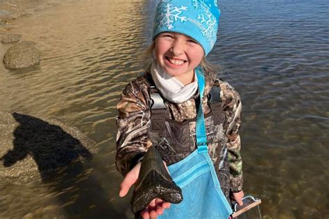 girl 9 finds rare megalodon shark tooth fossil at least 3 5 million years old on maryland