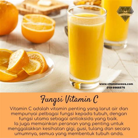 Vitamin C Shaklee Keistimewaan Fungsi Dan Manfaat