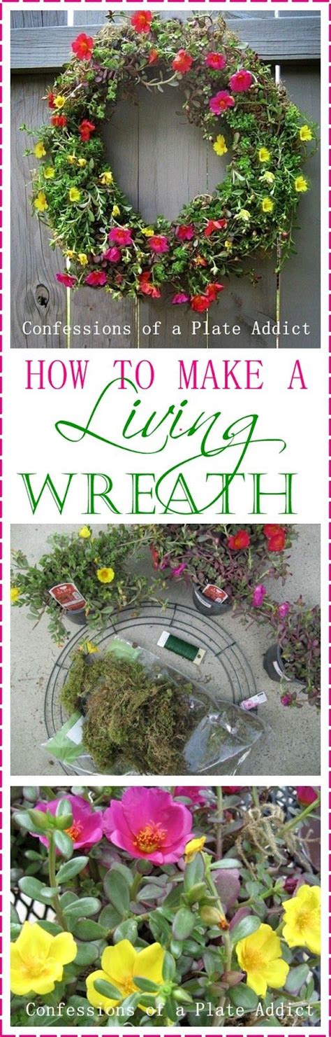 How To Make A Living Wreath Container Flowers Flower