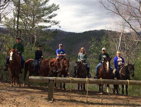 Horseback Riding In Pigeon Forge Resrainbow