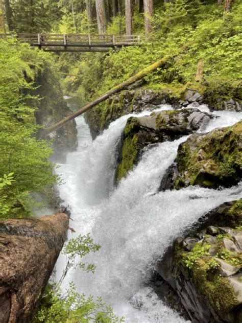 Hiking To Sol Duc Falls Explore Washington State