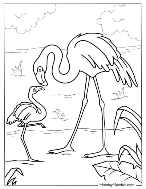 Pink Flamingo Coloring Pages Fun And Creative Flamingo Themed Coloring