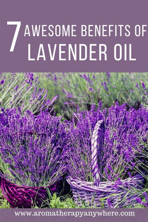 7 Awesome Benefits Of Lavender Essential Oil Aromatherapy Anywhere