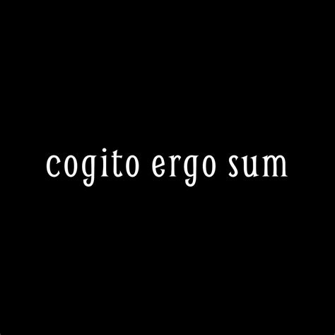 Contextual translation of cogito ergo sum miser into english. Cogito Ergo Sum T-Shirt | The Partially Examined Life ...