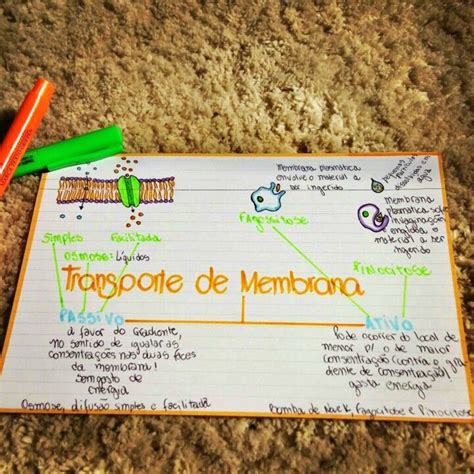 Mapa Mental De Transporte Pela Membrana Study Maps