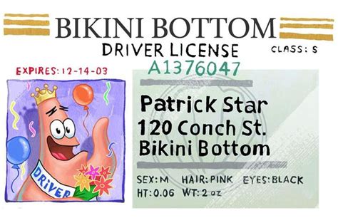 Business Card Patrick Star Driving Lincense 2014 By Darshan2good On