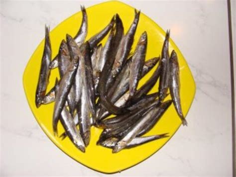 Anchovis — anchovis, anschovis oder anchois (von gleichbedeutend spanisch anchoá) ist eine andere bezeichnung für die europäische sardelle (engraulis encrasicolus). Fisch : -Marinierte Sardinen - Anchovis-Sardellen ...